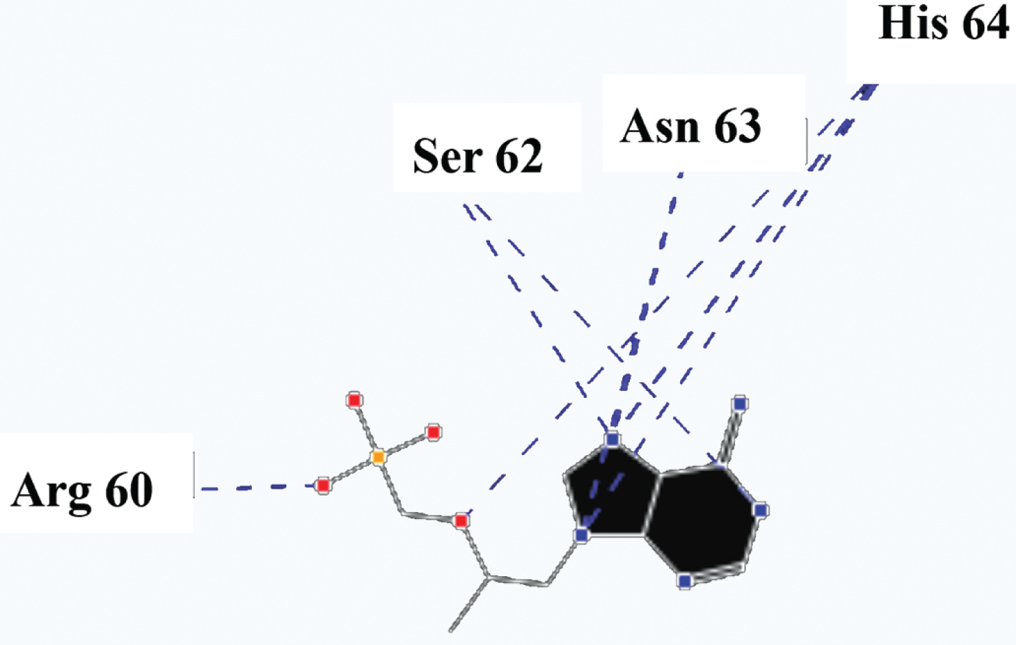 Hydrogen bonds between the tenofovir and SARS-CoV-2 Mpro.