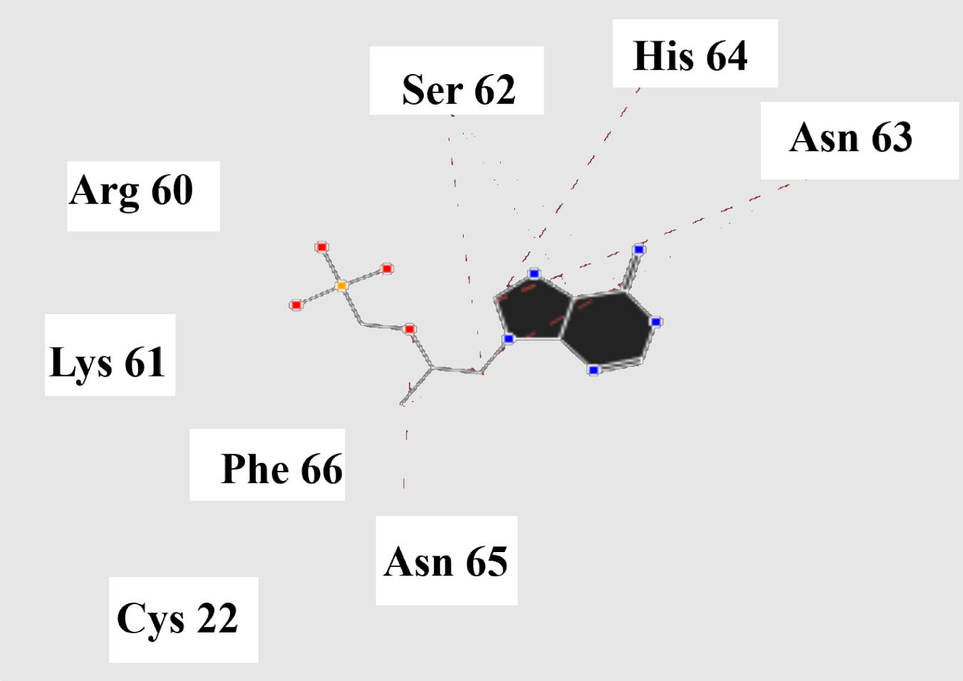 Steric interactions between the tenofovir and SARS-CoV-2 Mpro.