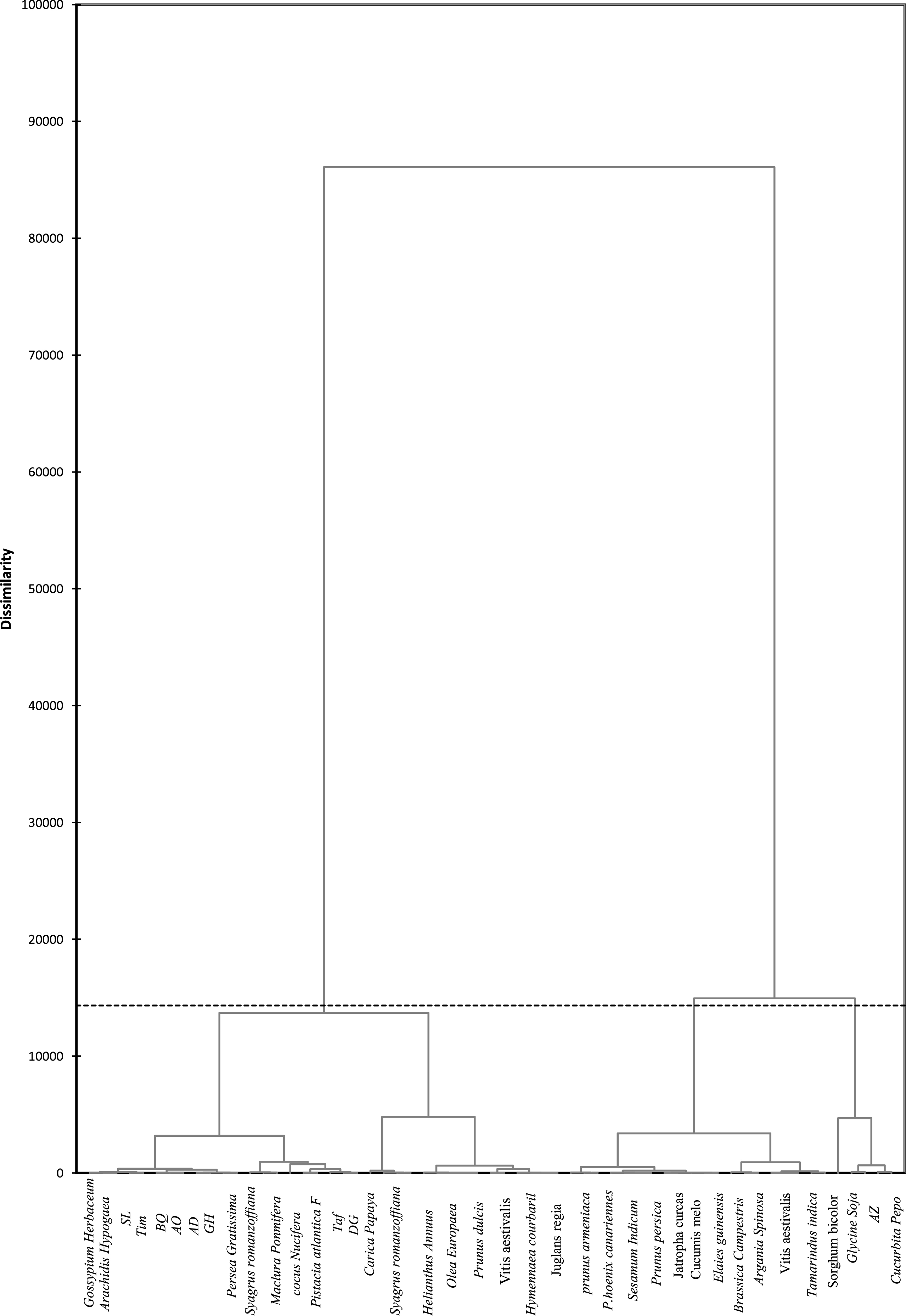 Dendrogram obtained from the tocopherols cluster analysis of the nine studied Date seeds and 29 different plants oils.