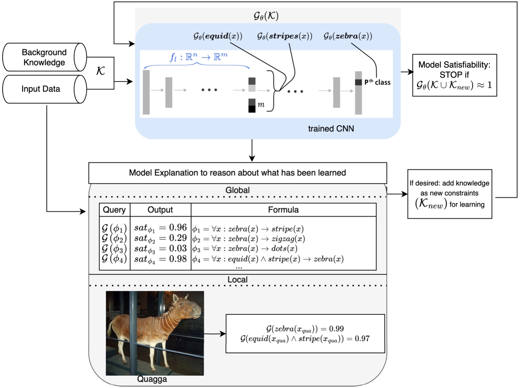 LTN is queried to produce local explanations (for individual inputs, in this example images) and global explanations (universally-quantified formulas). Reasoning about what has been learned, a user is expected to define the generality of the explanations given the satisfiability of the queries obtained from the trained network. The figure shows some of the queries associated with groundings in the neural network and their satisfiability (sat) levels. Using linear probes to ground the activation patterns of internal representations into the language of LTN, we are able to utilise abstract concepts such as zebra and stripes as symbols in the logic. After querying, the neural model can be constrained based on a user selection of logical formulas Knew for further training. This iterative process seeks to align the model with user values in the form of symbolic knowledge. In the figure, the quagga is classified as a zebra initially. The user can change this classification result by adding knowledge into Knew to be satisfied by the new model. Notice that training from data may begin without any knowledge, that is, an empty knowledge-base that can be revised later by querying user-defined concepts and defining constraints, as in the case of the fairness constraints from earlier.