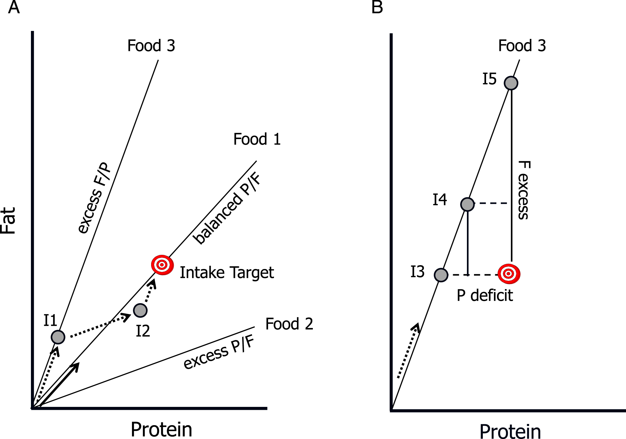 Core concepts of the Geometric Framework for Nutrition. The intake target represents the optimal amount and balance of the nutrients required by the animal. Radial lines are “rails” showing the ratio of the nutrients in foods, and grey circles represent hypothetical nutrient intakes (I1 –I5). As the animal eats it “moves” along a trajectory at an angle equal to the angle of the rail for the food it is eating (arrows), with sequential arrows representing intake trajectories. A) Food 1 is balanced with respect to the protein:fat ratio (P:F): it passes through the Intake Target, and thus enables the animal to directly reach the target (solid arrow). In contrast, Foods 2 and 3 are imbalanced (excess P and F respectively) and do not enable the animal to reach the target. It can, however, reach the target by mixing its intake from these “nutritionally complementary” foods (dotted arrows): for example, by first feeding on Food 3 to point I1, then switching to Food 2 at I2 switching back to Food3. B) If restricted to a single imbalanced food, the animal faces a trade-off between over-eating one nutrient and under-eating another. At I3 it meets its requirements for fat but suffers a protein deficit, at I5 it has optimal protein intake but excess fat, and at I4 it has both a moderate excess of fat and deficit of protein.