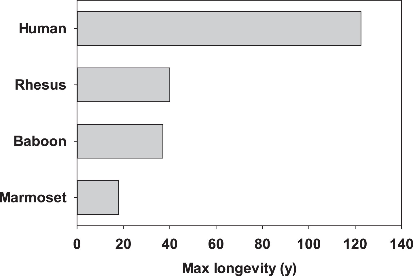 Maximum reported lifespans for four primary primate species used in aging research.