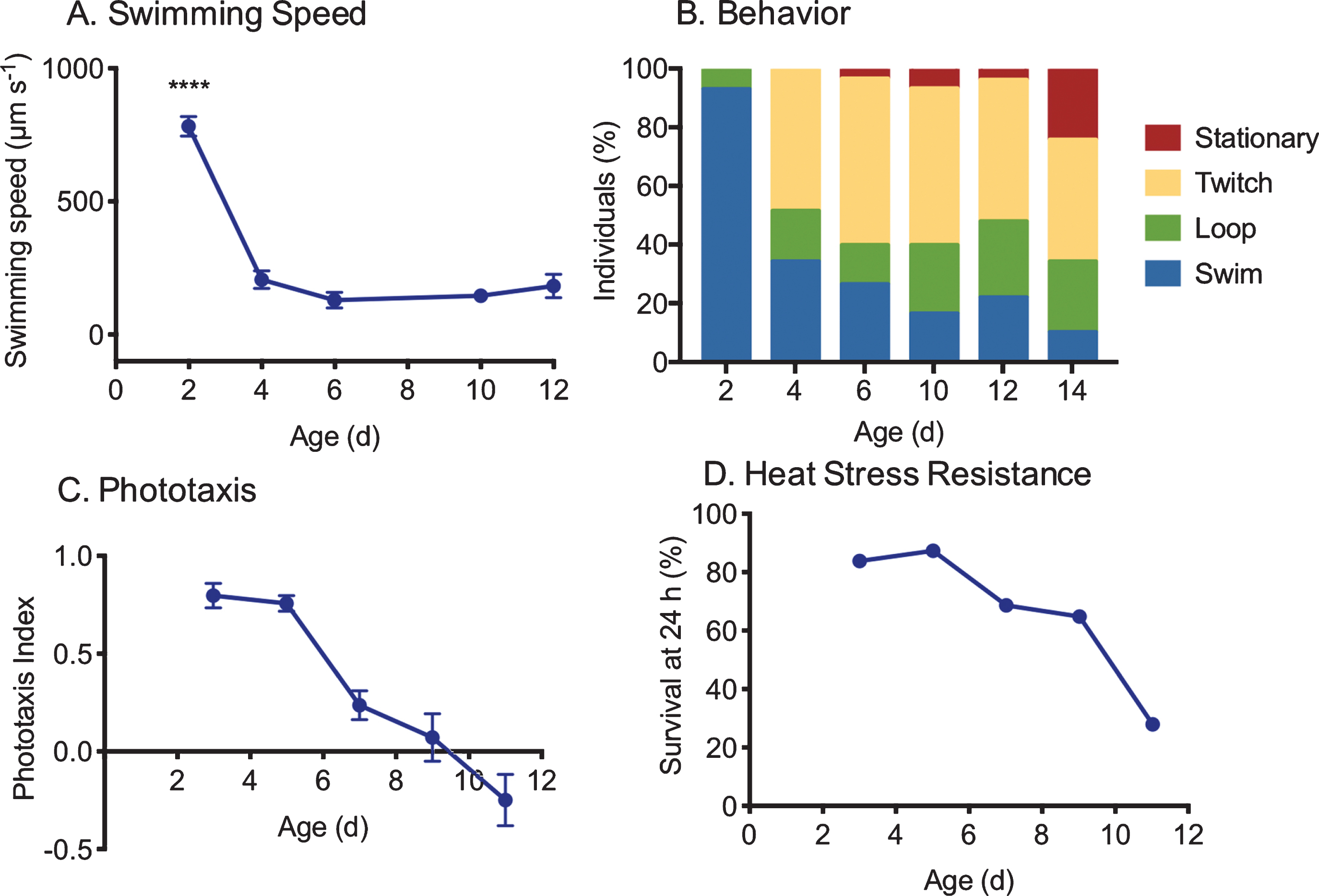 Measures of changes in health with age in asexual, female Brachionus manjavacas (K. Gribble, unpublished data). As rotifers age, (A) swimming speed declines (n = 30), (B) behavior changes from primarily swimming in a straight line or in large circles to predominantly stationary or twitching movements with no forward motion (n = 30), (C) phototaxis (the tendency to swim toward a light source) declines (n = 10/replicate, 5 replicates per age), and (D) survival 24 hours after exposure to heat stress declines by 75% (n = 48 per age).