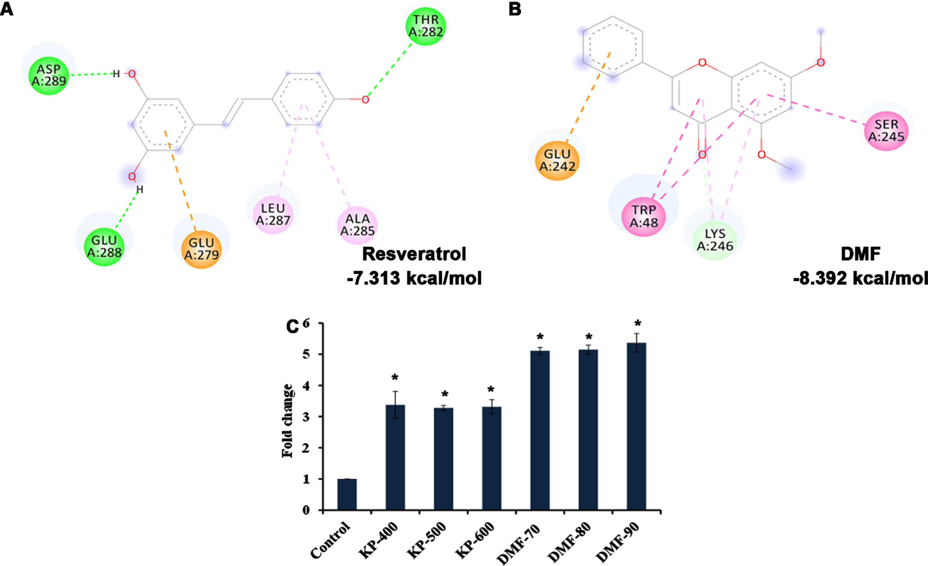In silico analysis showed activation of SKN-1 (A) Resveratrol showing binding affinity of –7.313 kcal/mol towards SKN-1 (B) DMF showing binding affinity of –8.932 kcal/mol towards SKN-1 (C) KP and DMF significantly (p <  0.05) induced skn-1 gene expression in C. elegans.