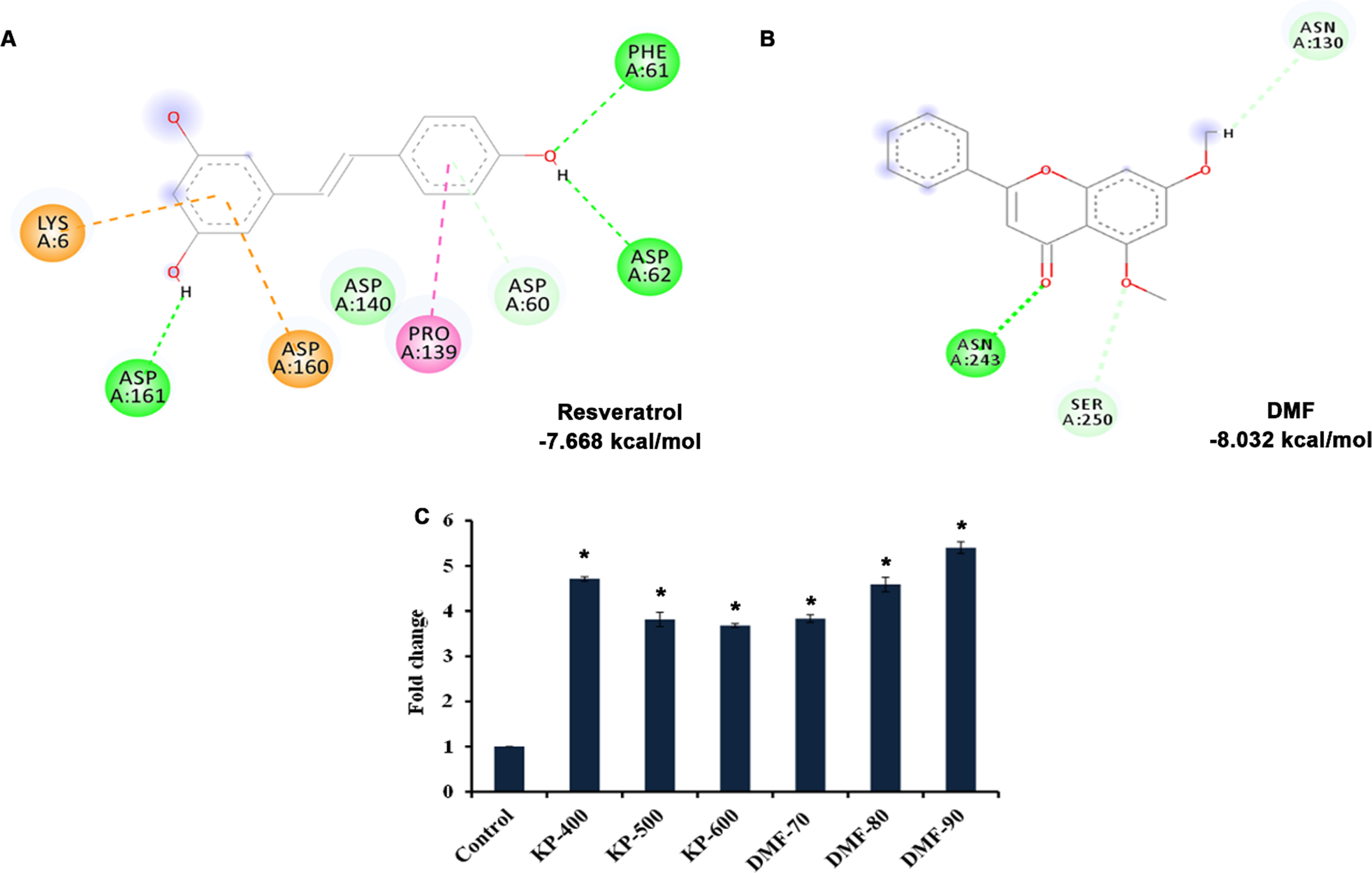 In silico analysis showed activation of DAF-16 (A) Resveratrol showing binding affinity of –7.668 kcal/mol towards DAF-16 (B) DMF showing binding affinity of –8.032 kcal/mol towards DAF-16 (C) KP and DMF significantly (p <  0.05) induced the expression of daf-16 in C. elegans.