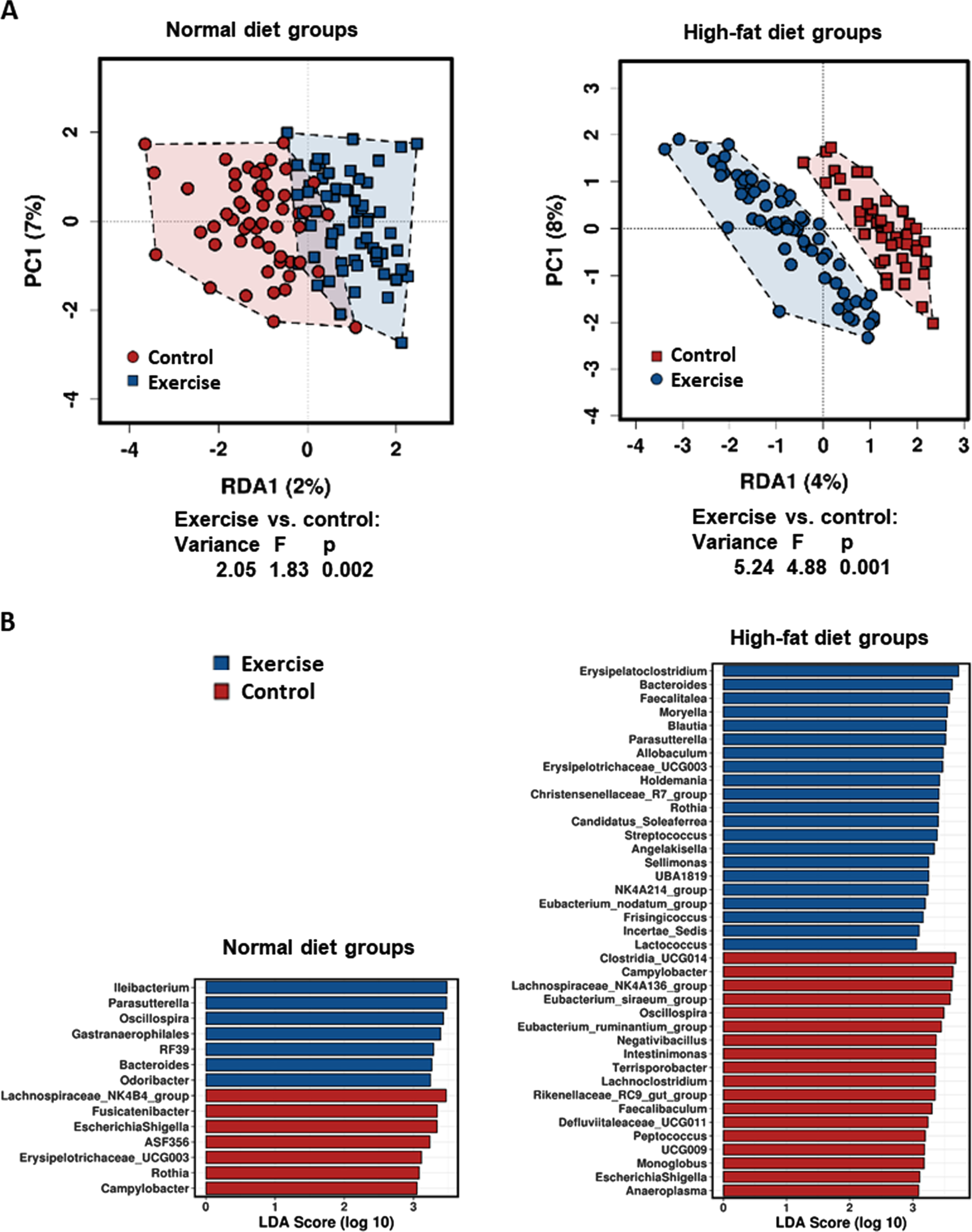 Influence of high-fat diet and exercise on abundancy differences of taxa on genus level between the long-term study groups. (A) Exercise-related variances within the diet groups are shown by Redundancy analysis (RDA). (B) Linear discriminant analysis effect size analysis (LEfSE) showing the bacterial genera that most likely explain the differences between exercising and control animals fed either normal diet or high-fat diet.