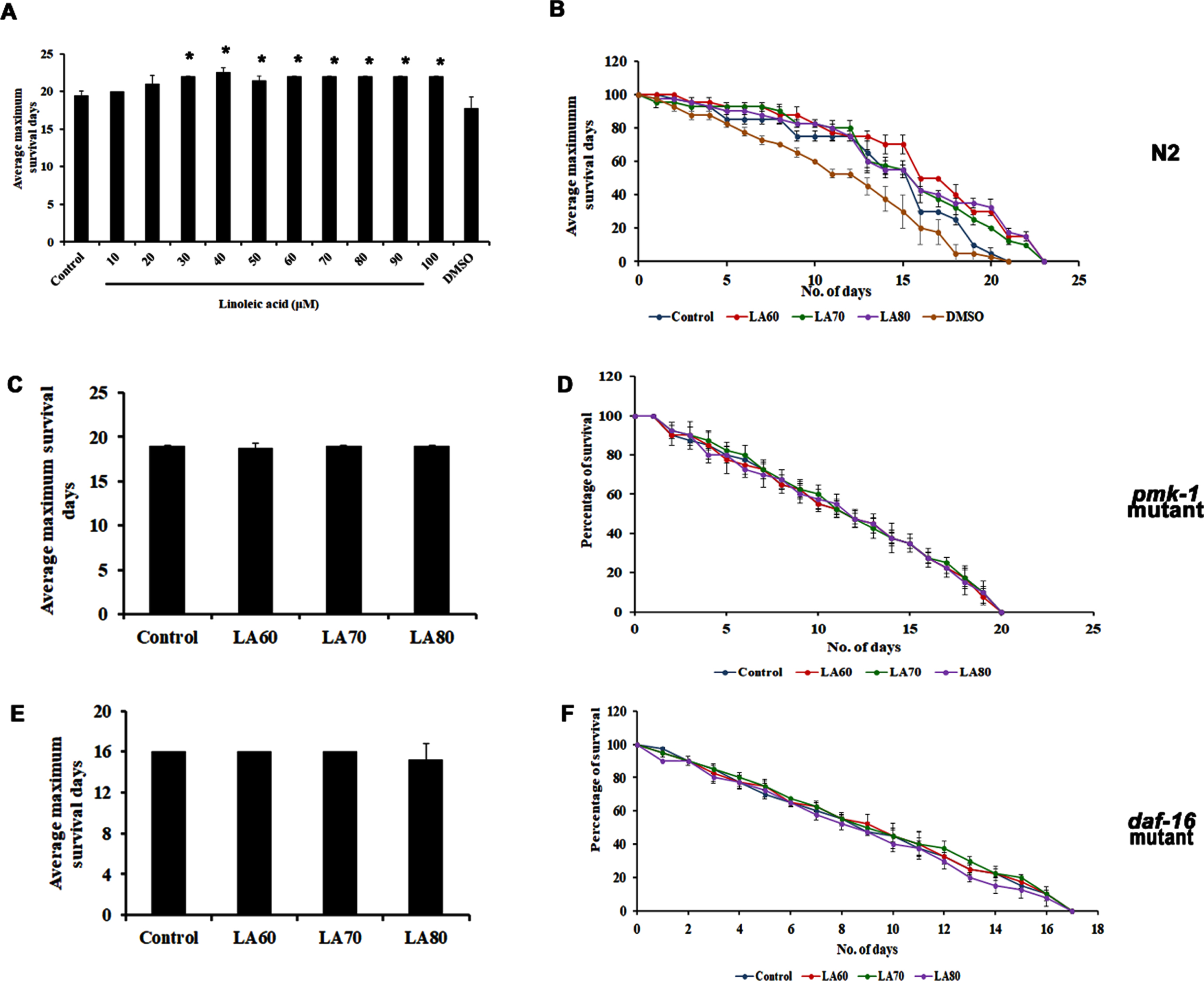 Panel A shows the average maximum survival of wild type C. elegans when treated with Linoleic acid with varying concentrations (LA 10–100μM) showed an increase in lifespan, panel B shows the percentage of survival in wild type C. elegans showing the lifespan extension in the selected dose (LA 60–80μM) which was used for further analysis. Lifespan extension of LA mediated through both MAPK and DAF-16 pathways, both pmk-1 (KU25, panel C and D) and daf-16 (CF1038, panel E and F) mutant did not show any significant changes on admiration of LA (Significance at p < 0.05 *Control vs LA treated).