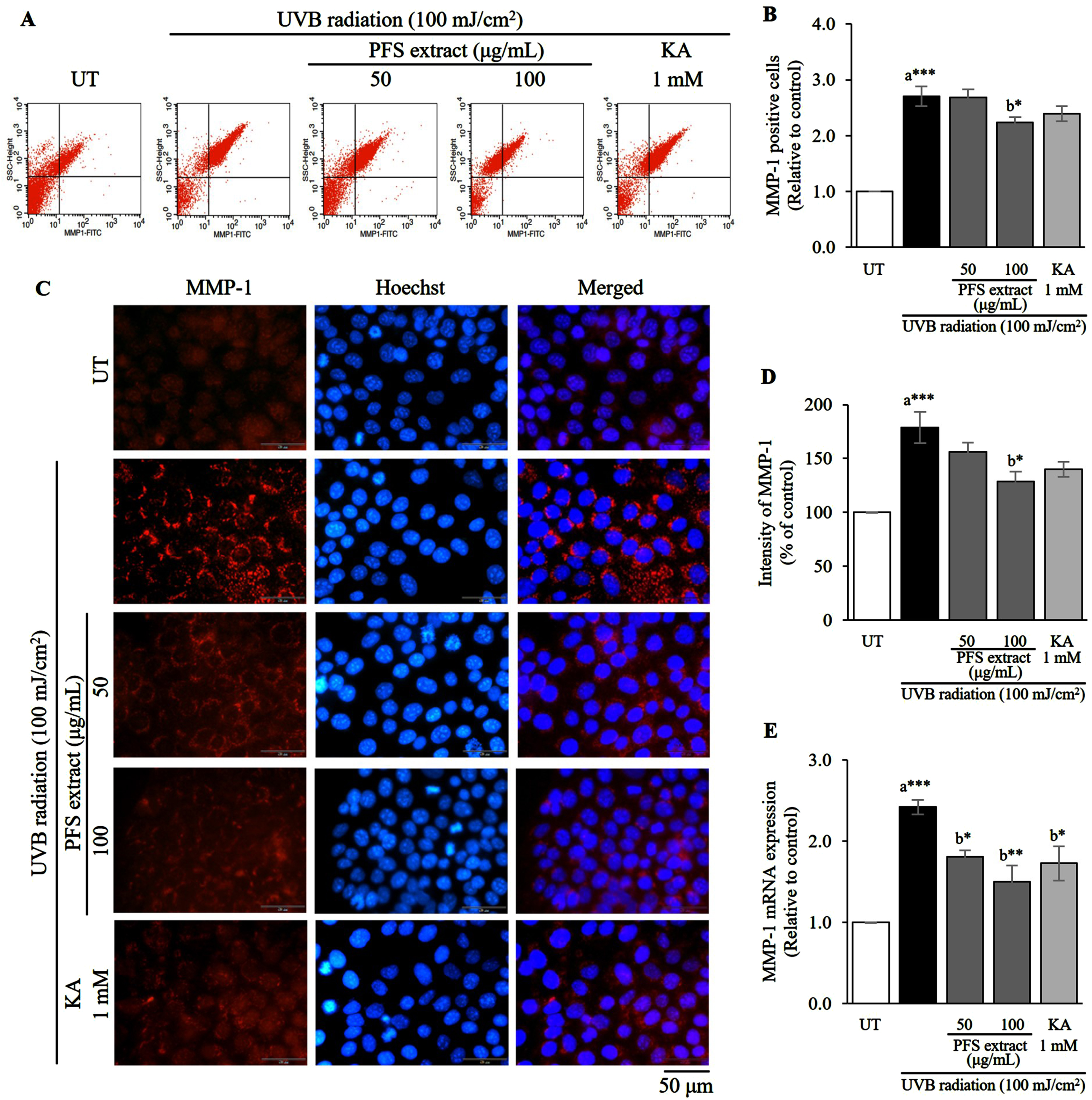 PFS extract affects negatively the level of MMP-1 after UVB induction. (A) Flow cytometric analysis indicates the percentage of UVB-induced MMP-1 positive cells. (B) MMP-1 positive cells in each treatment group were calculated, and the results are presented as mean±SD relative to the control. (C) Immunofluorescence staining image of UVB-exposed HaCaT cells with anti-MMP-1 (red) and the nuclei were counterstained with Hoechst-33342 (blue), scale = 50 μm. (D) The intensity of MMP-1 in each treatment group was analyzed, calculated and expressed as a bar graph compared to the untreated cells, and the results are presented as mean±SD. (E) The expression of MMP-1 mRNA in each treatment group was calculated using the 2–ΔΔCt values and expressed as a bar graph relative to the untreated cells. The results are presented as mean±SD. *, **, *** Statistical significance at p≤0.05, p≤0.01, and p≤0.001, respectively. a compared to UT, b compared to UVB radiated cells. UT; untreated cells, KA; kojic acid (1 mM) served as positive control.