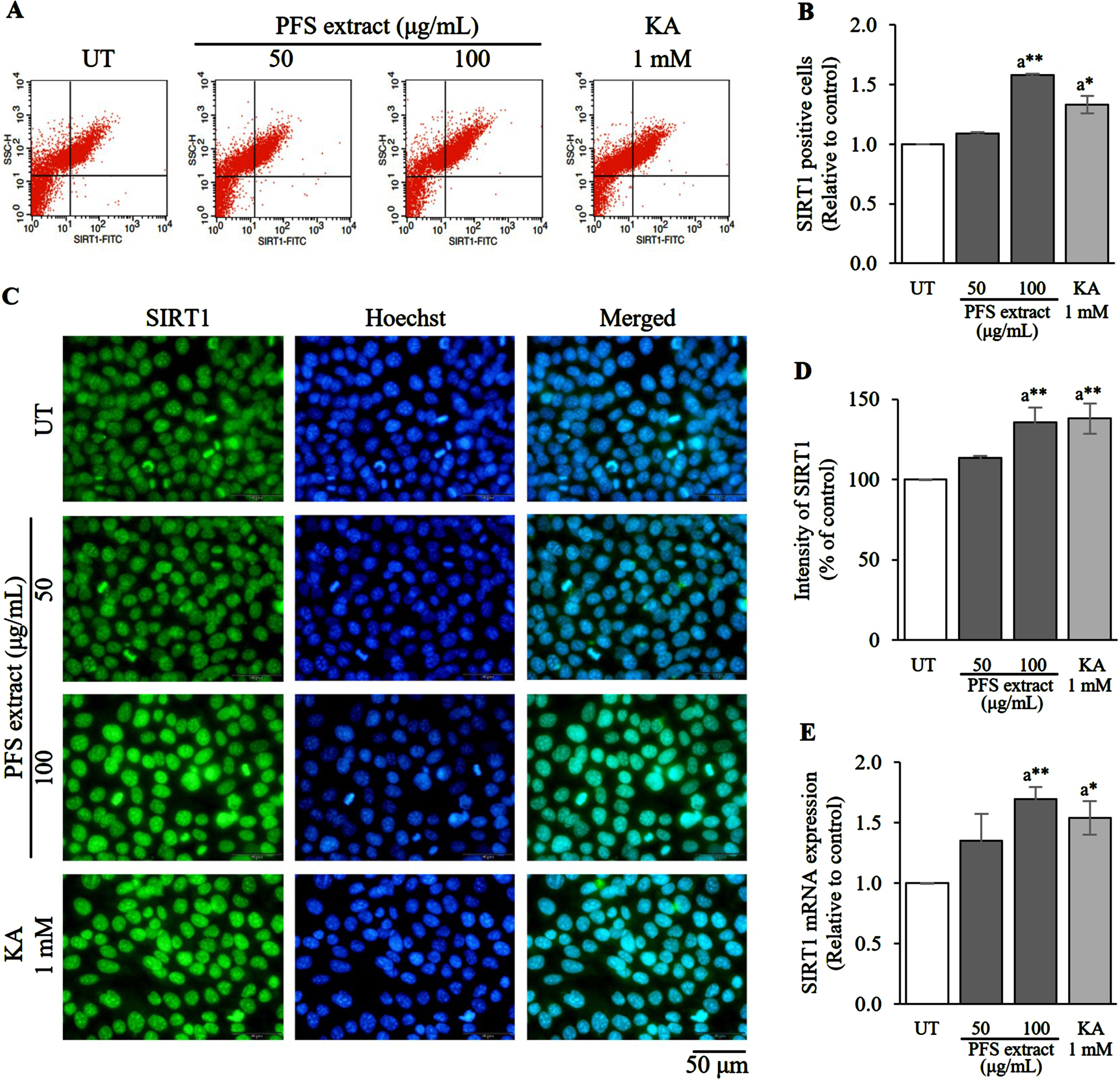 SIRT1 enhancement effect of PFS extract. (A) Flow cytometric analysis indicates the percentage of SIRT positive cells. (B) SIRT1 positive cells in each treatment group was calculated, and the results are presented as mean±SD. (C) Immunofluorescence staining image of PFS-treated HaCaT cells with anti-SIRT1 (green) and the nuclei were counterstained with Hoechst-33342 (blue), scale = 50 μm. (D) The intensity of SIRT1 in each treatment group was analyzed, calculated and expressed as a bar graph compared to the untreated cells, and the results are presented as mean±SD. (E) The expression of SIRT1 mRNA in each treatment group was calculated using the 2–ΔΔCt values and expressed as a bar graph relative to the untreated cells. The results are presented as mean±SD. *, ** Statistical significance at p≤0.05 and p≤0.01, respectively. a compared to UT. UT; untreated cells, KA; kojic acid (1 mM) served as positive control.