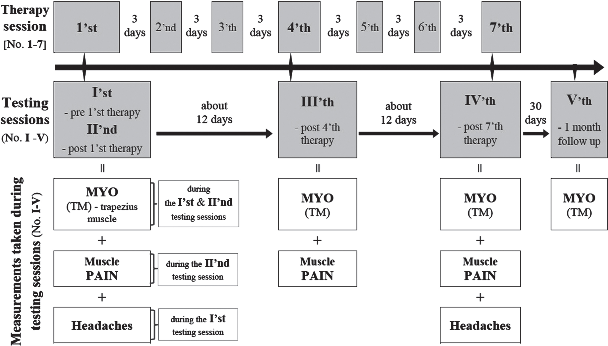 Graphic time schedule of therapeutic and testing sessions with an indication of types of measurements collected during particular testing sessions. MYO –myotonometric measurent of upper trapezius muscle’s mechanical properties; PAIN –patients’ perception of shoulder girdle and neck muscles pain using the Visual Analogue Scale.