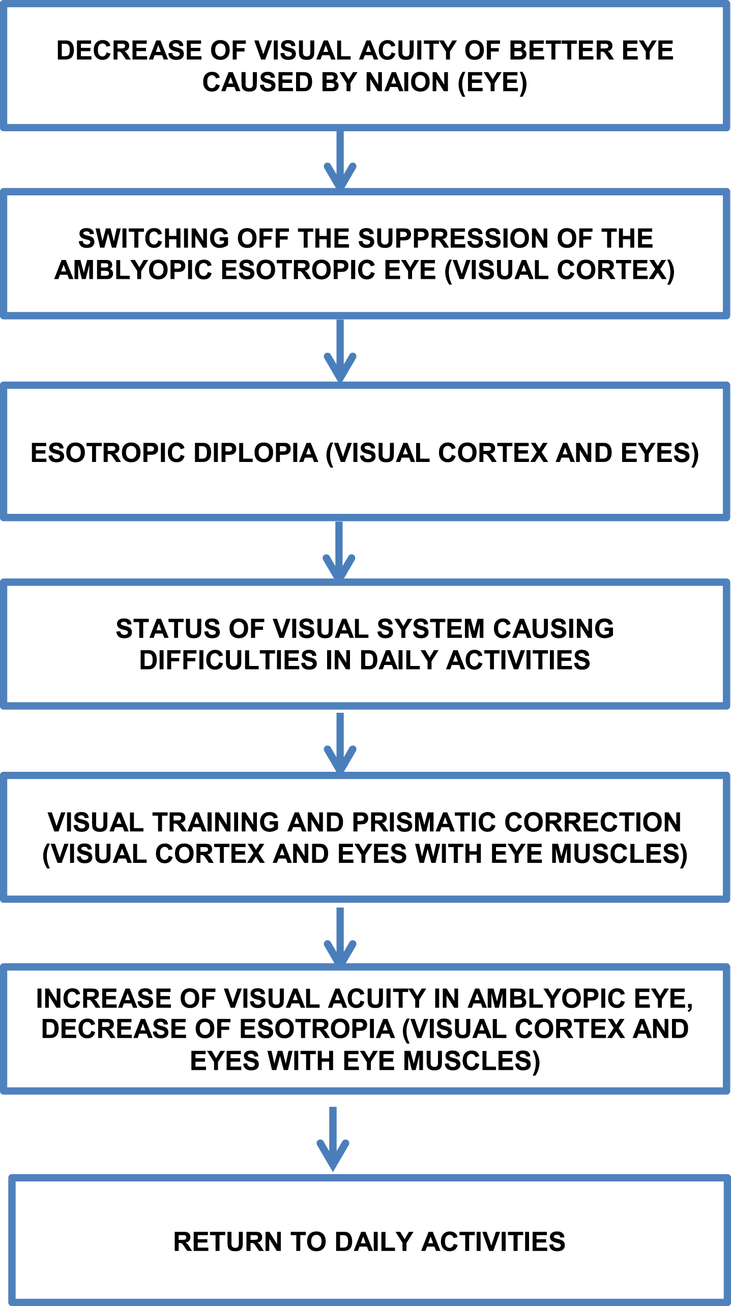 Graphical summary of changes in visual system status and daily performance of our patient (Visual system part involved – in brackets).