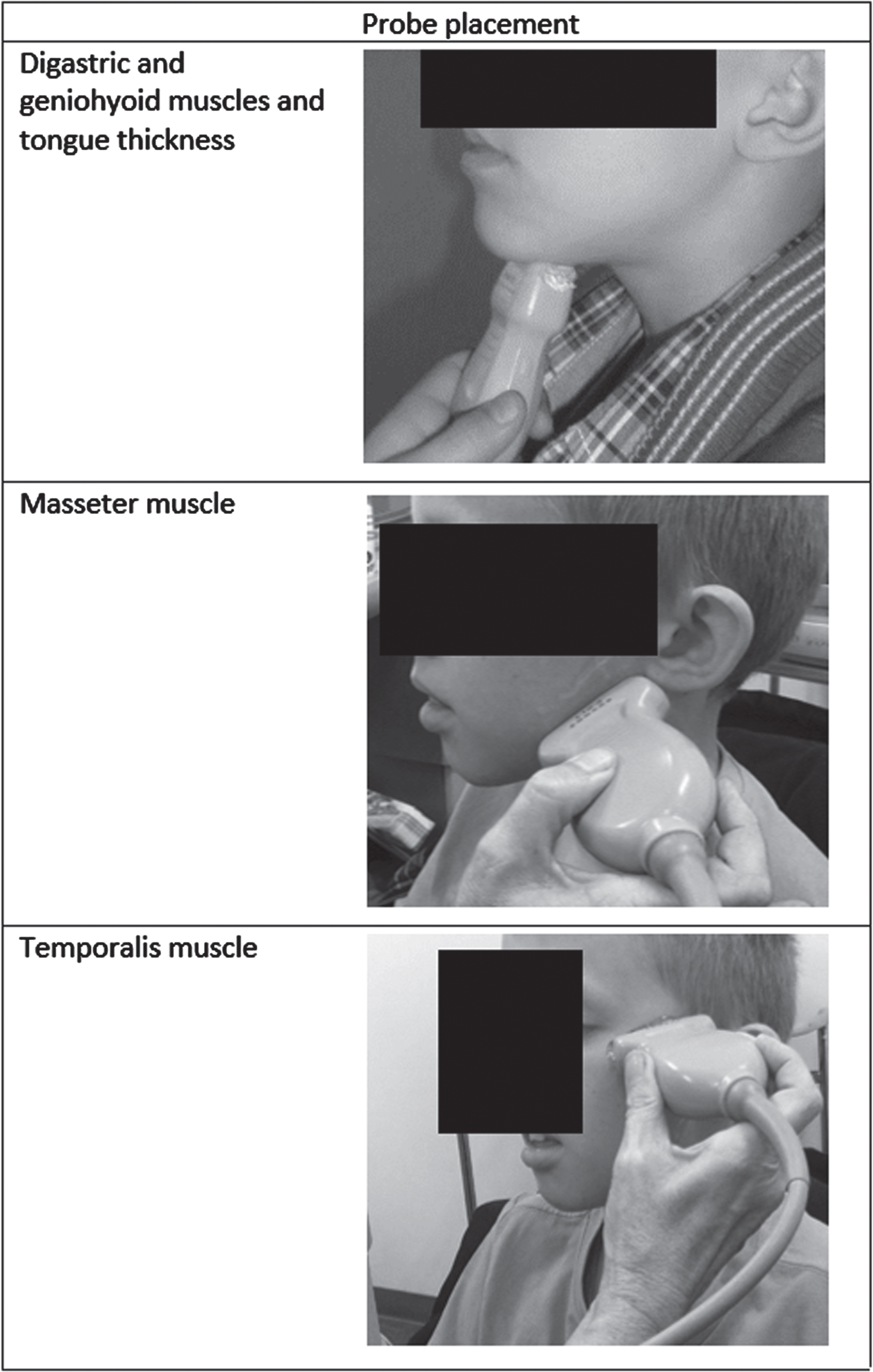 Probe placement and ultrasound image per muscle.