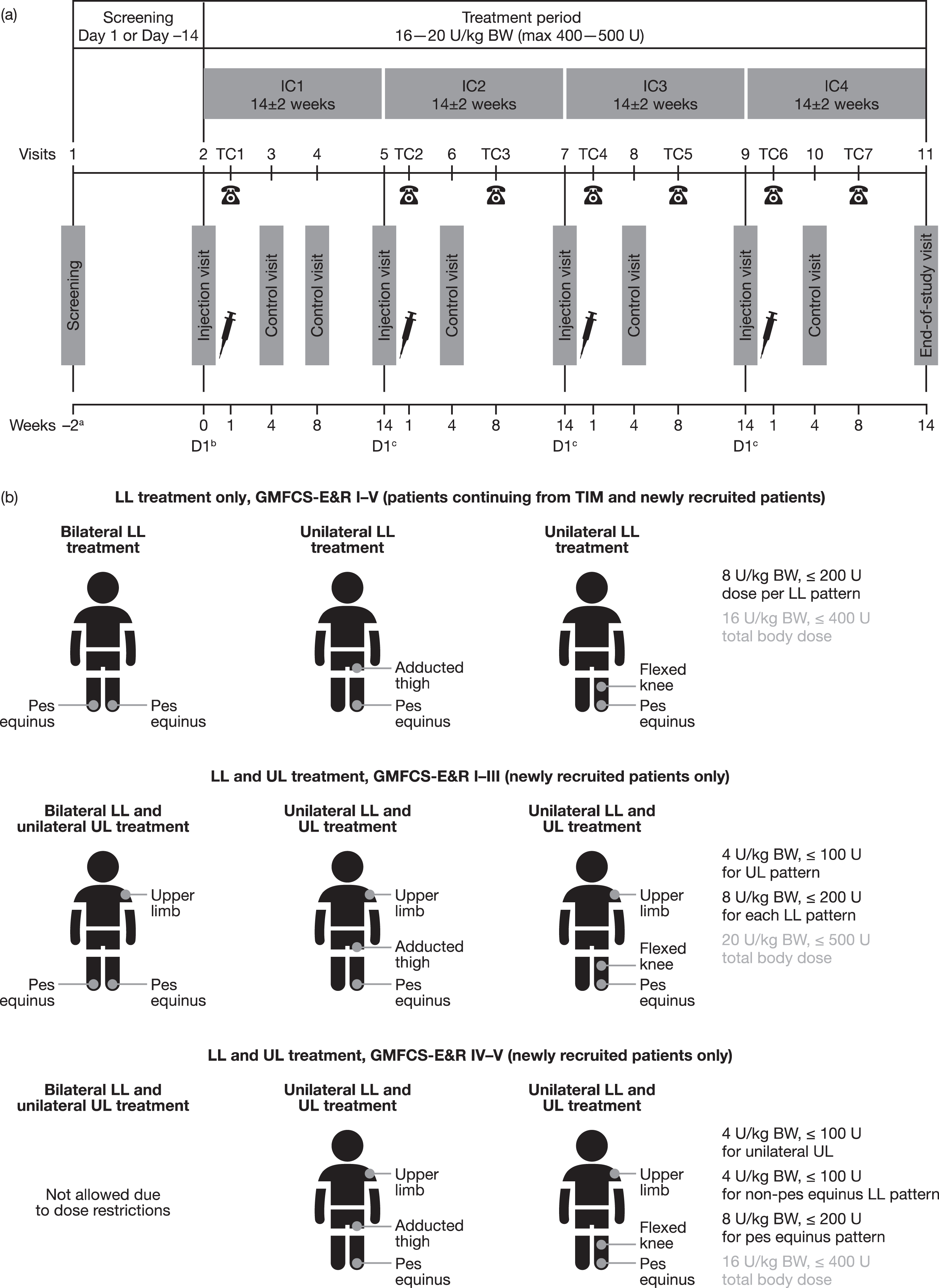 (a) Study design and (b) treatment according to clinical patterns. aOnly for newly recruited patients (not those who participated in TIM). bDay 1 of first incobotulinumtoxinA injection. cDay 1 of the next incobotulinumtoxinA IC. BW = body weight; D = day; GMFCS-E&R = Gross Motor Function Classification System Expanded and Revised; IC = injection cycle; kg = kilogram; LL = lower limb; max = maximum; TC = telephone contact; TIM = Treatment with IncobotulinumtoxinA in Movement study; U = units; UL = upper limb.