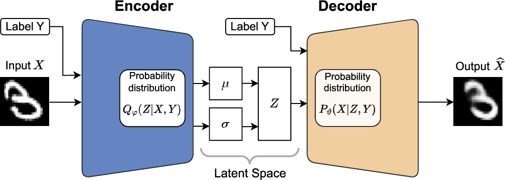 CVAE architecture.