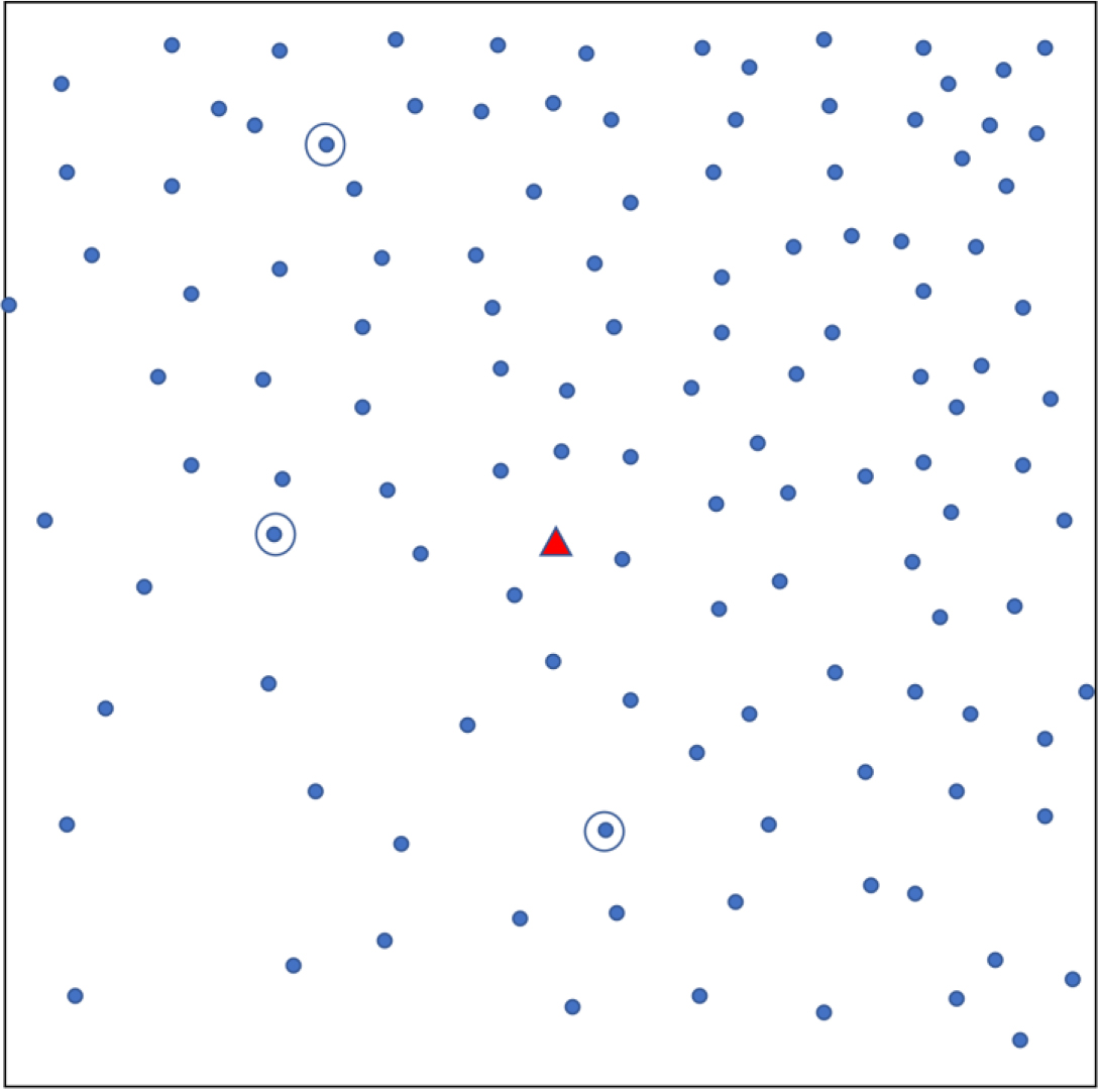 Simple random sampling. Each dot shows a household. The triangle represents a central landmark. Three households (circled) are randomly chosen.