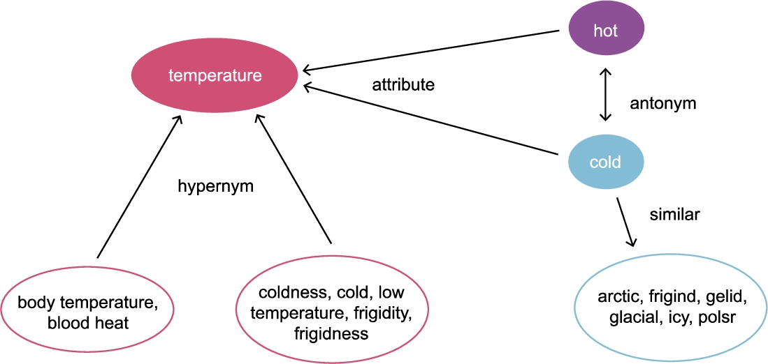 English WordNet subgraph [107].