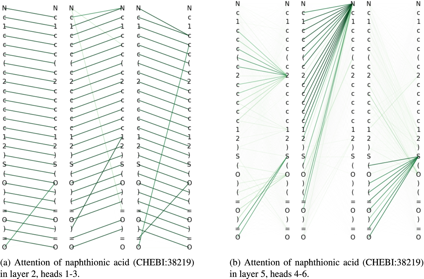 Attention relations for naphthionic acid.