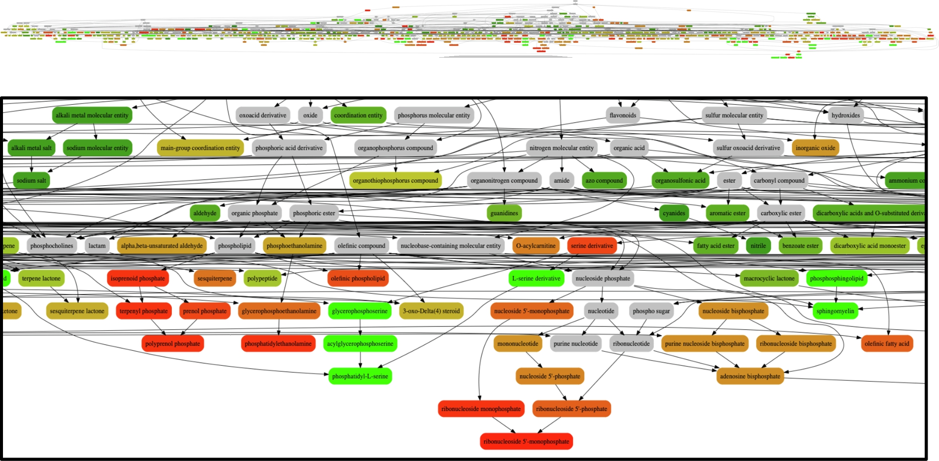 Zooming in on a subset of the predicted classes, coloured by how many molecules are assigned to that class with red = fewer and green = more. Dark red = fewer than 10, Dark Green = more than 100, Orange = 10–100, Grey = not included in the 500 predicted classes but included in the visualisation for hierarchical completeness.