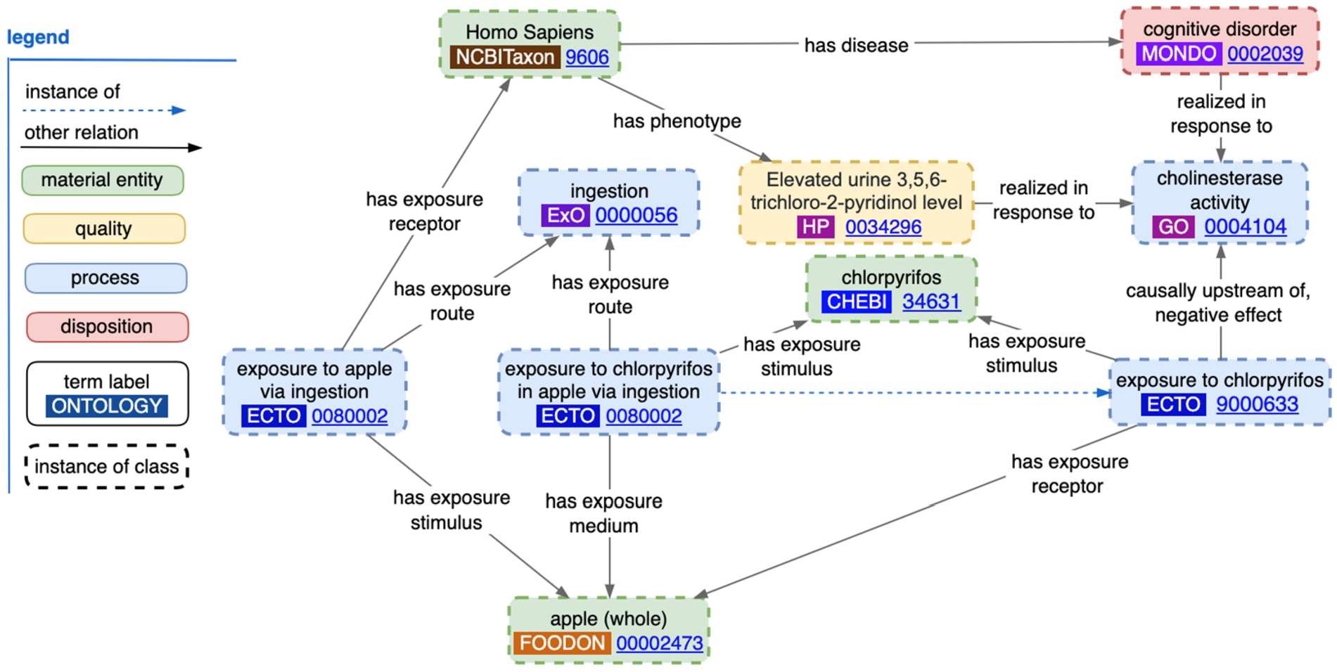 Instance-level ECTO data representation of exposure to chlorpyrifos by way of food-ingestion, including the disease and phenotype associated with it.