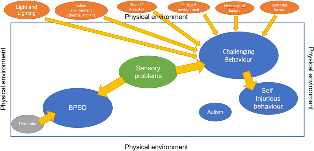 Conceptualisaton of possible relations between the factors of the physical environment and challenging behaviour. Abbreviations: BPSD = Behavioral and Psychological Symptoms of Dementia.