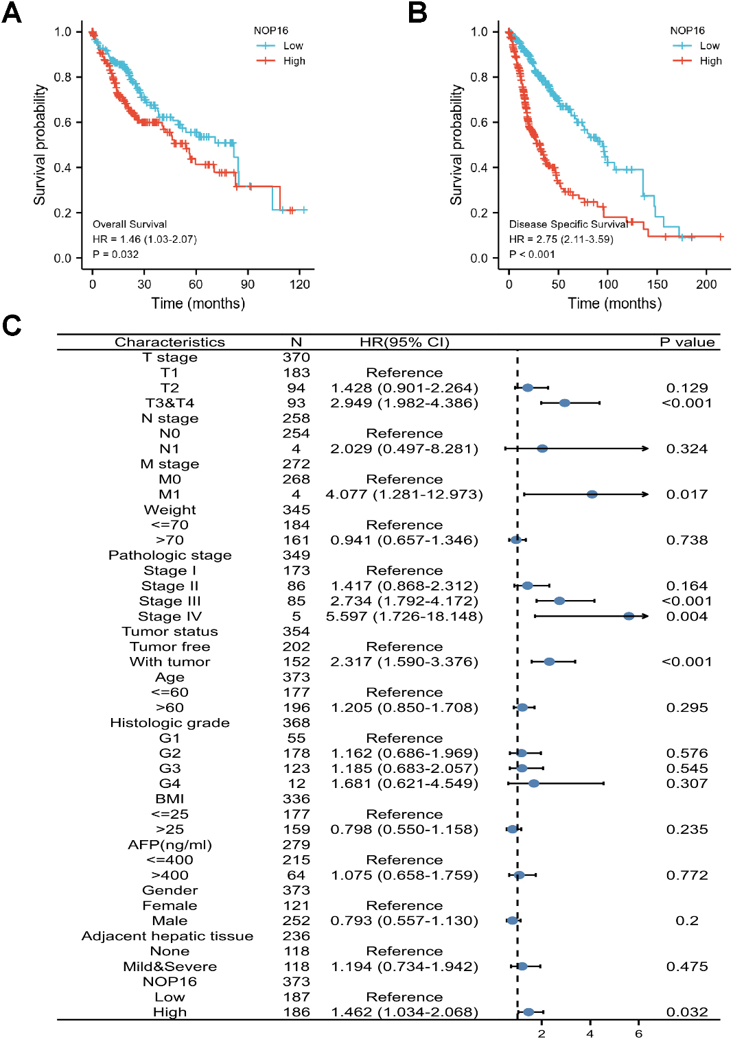 Prognostic values of NOP16 expression in patients with LIHC evaluated using the Kaplan-Meier method. Overall survival (A) and disease-specific survival (B) for LIHC patients with high versus low NOP16. (C) Forest map based on multivariate Cox analysis for overall survival. HR, hazard ratio; CI, confidence interval.