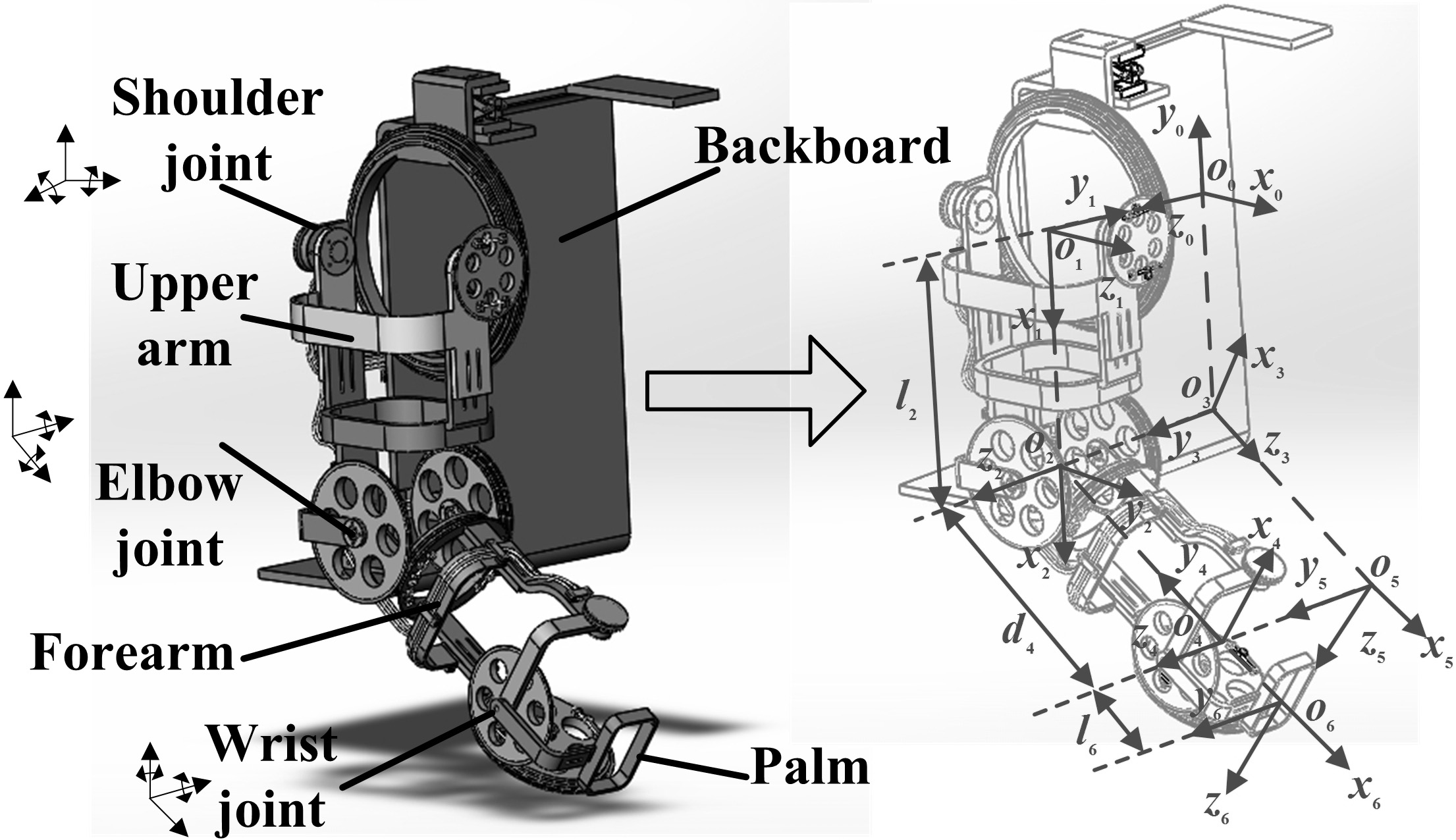 The 6-DOF upper limb exoskeleton model.