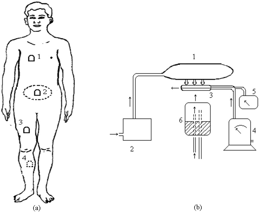 Sketch of the measure of counter pressures on body surface: (a) the four different counter pressure measuring points; (b) the schematic diagram of body surface pressure acquisition system (part 1 is the partial pressure suit, part 2 is the pressure control system, part 3 is the pressure bladder, part 4 is the gas flow meter, part 5 is the piezometer, and part 6 is the body part under the pressure bladder).