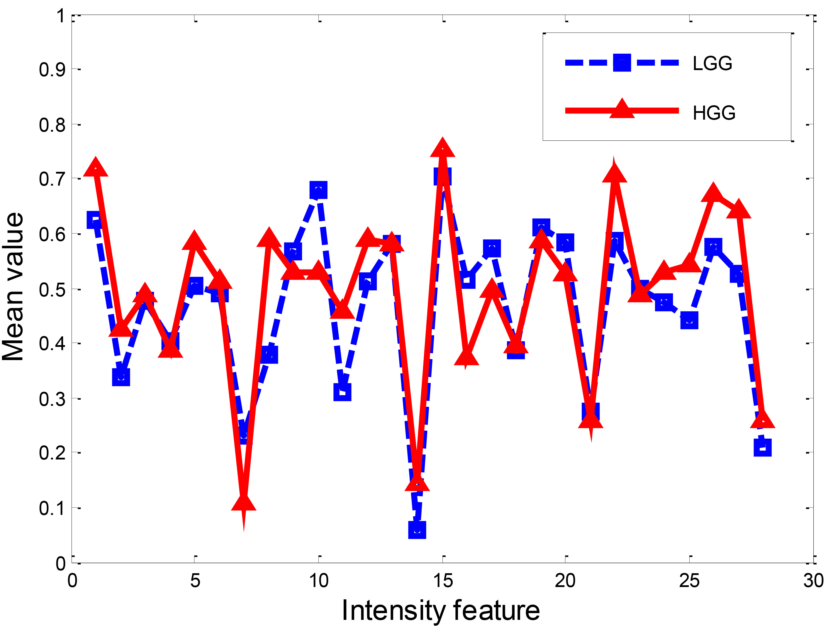 Intensity feature of LGG and HGG.
