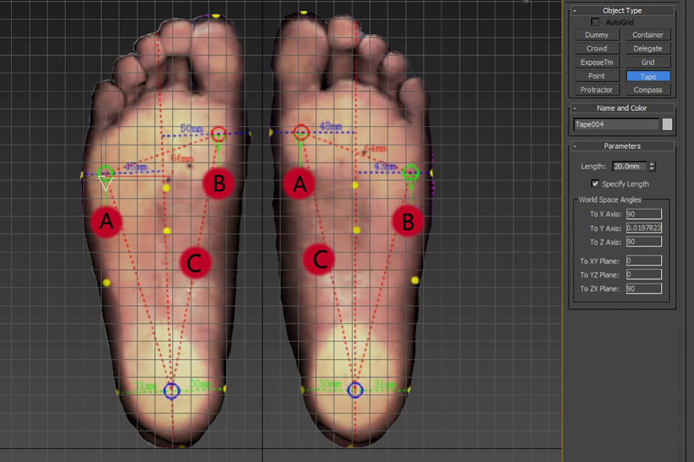Foot model file (A.max). Points A and B are markers with a vertical distance of 2 cm from the first and fifth metatarsophalangeal joints. Point C is the midpoint of the line that connects the first metatarsophalangeal joint to the center of the heel, which is the marker of the arch height.