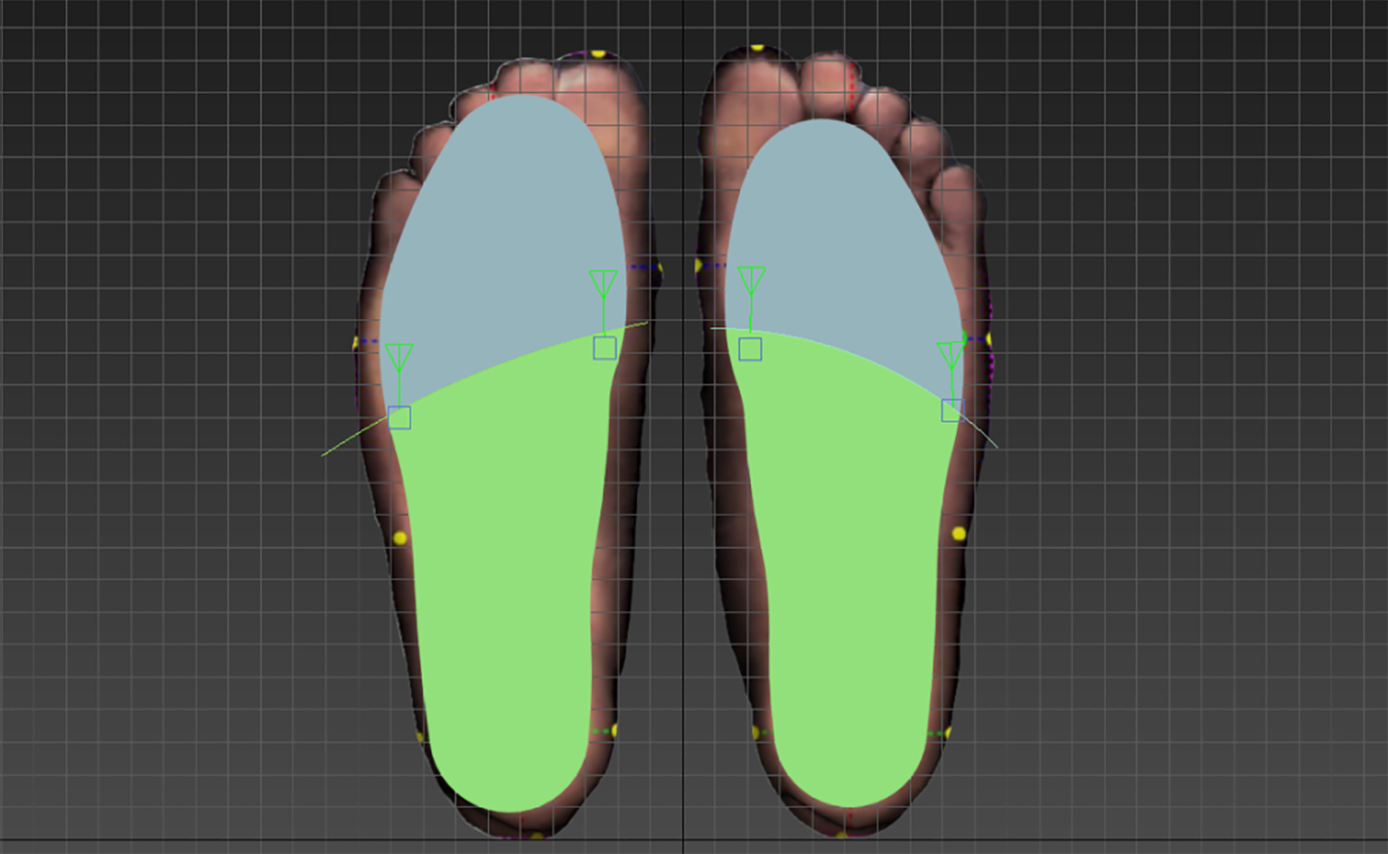 The green area is a 2/3 long foot model area file (D.max).