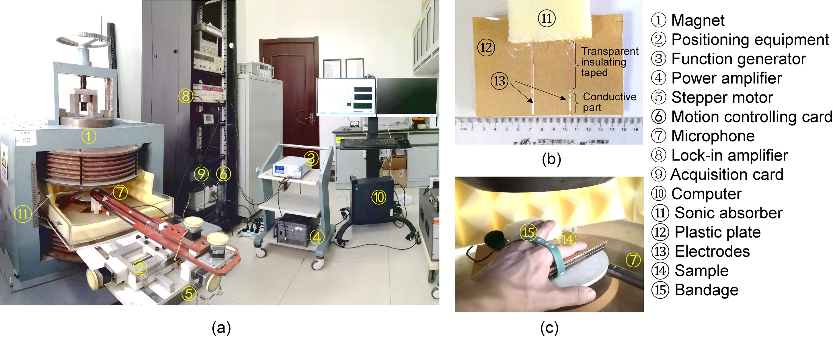 Photographs of the experimental system. (a) Experimental system. (b) Plate with electrodes. (c) Sample measurement. 