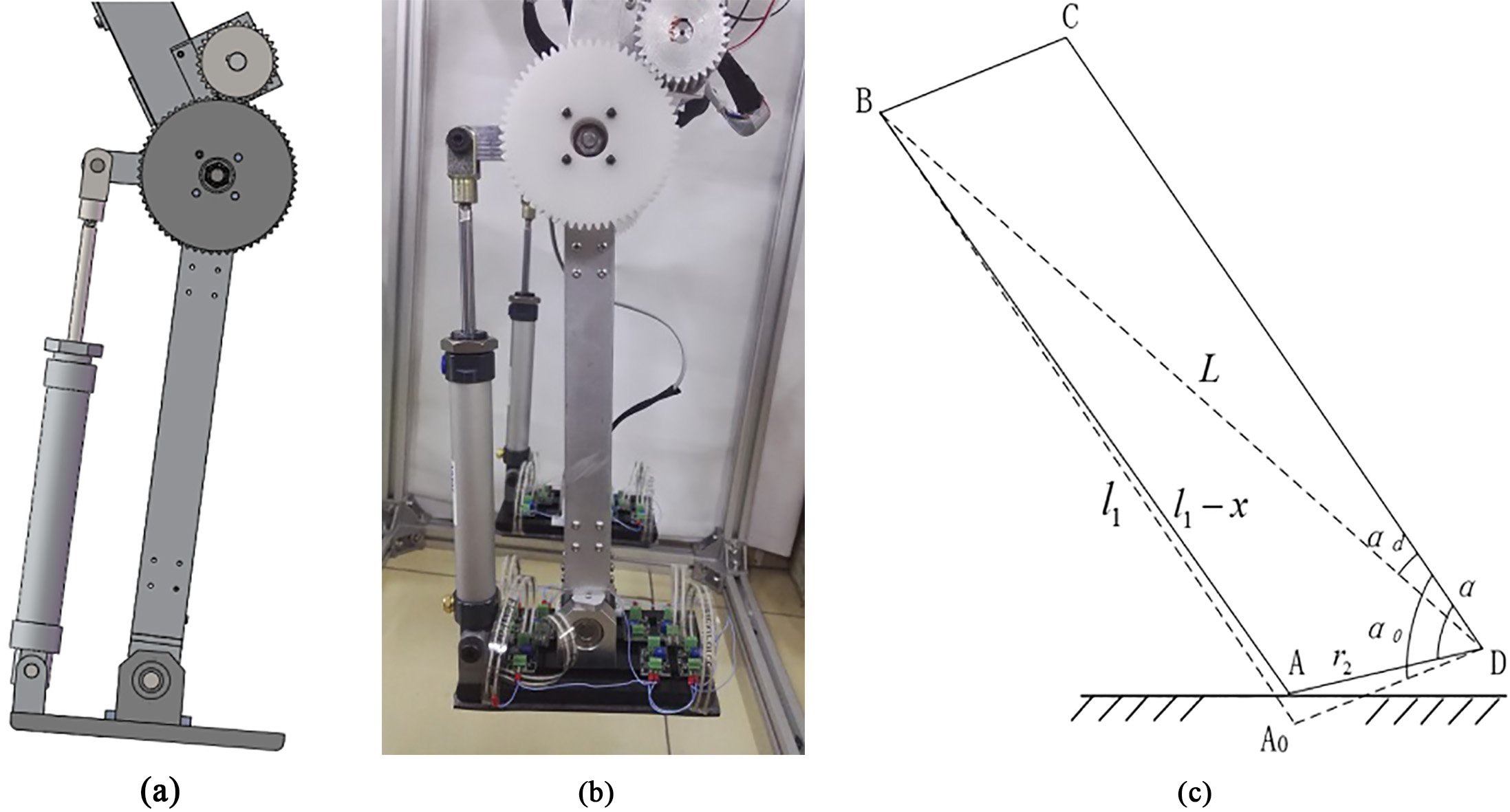 Design of the variable ankle joint. (a) Components used in the ankle joint. (b) Prototype of biped robot. (c) Abstract model of the ankle joint.