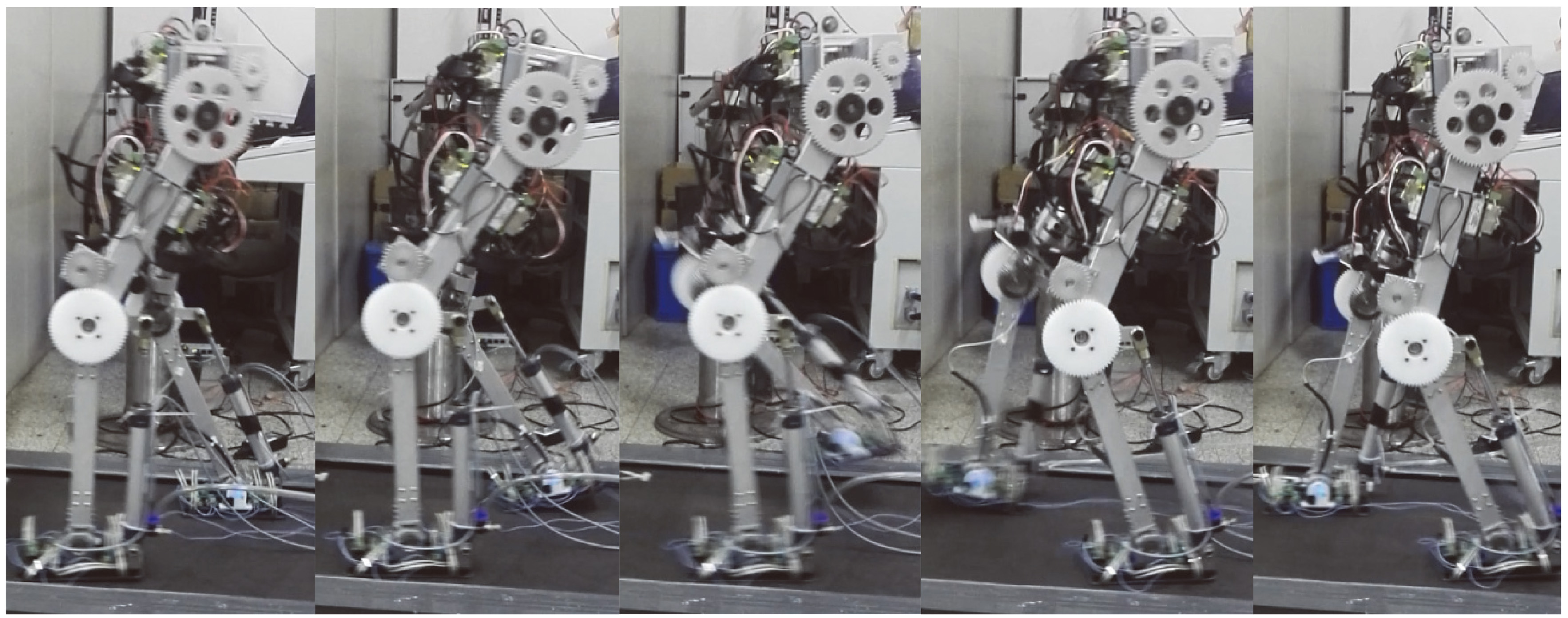 Walking experiment of biped robot with rigid ankle joint.