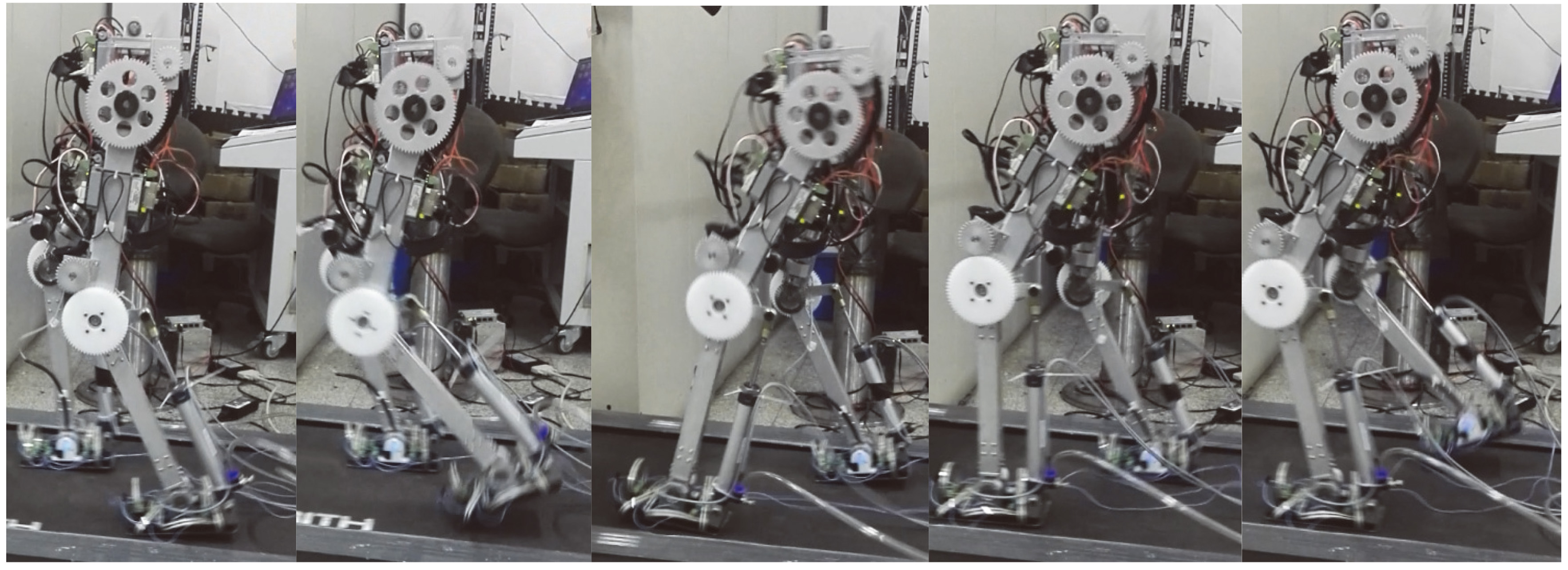 Walking experiment of biped robot with variable stiffness ankle joint.