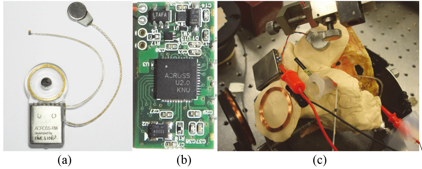 Images of (a) prototype system, (b) minimized test board, and (c) human cadaver experiments.