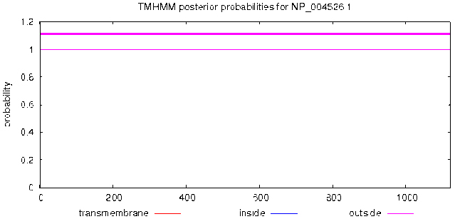 Prediction of transmembrane of MyT1.