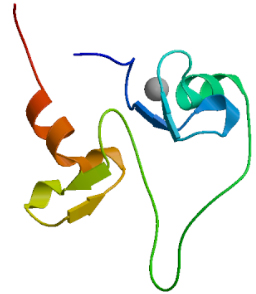 The tertiary structure prediction of MyT1.