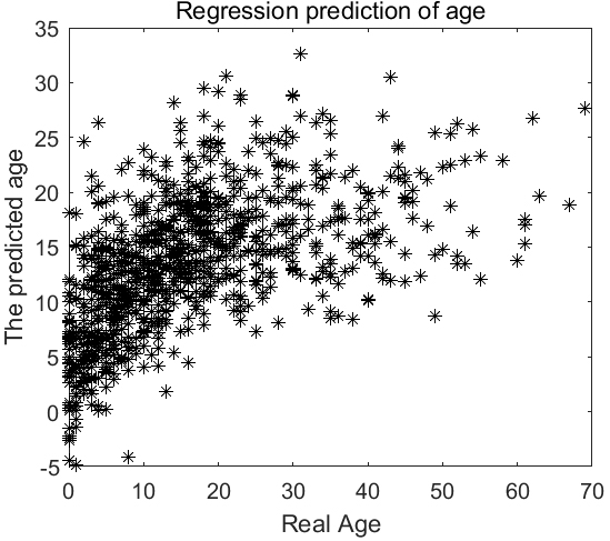 Regression prediction of age based on facial landmarks and texture features.