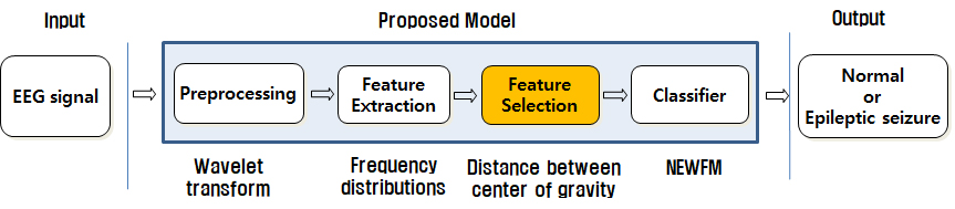 Normal and epileptic seizure classification model.