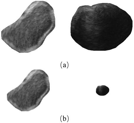 An illustration of severe information lost for small tumors after resizing all images to the same spatial resolution. (a) Before resizing and (b) after resizing.