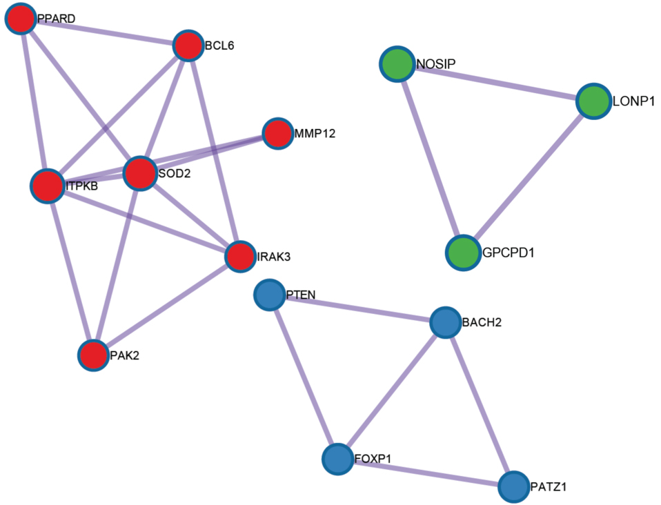 The molecular complex detection algorithm resulted in the construction of protein-protein interaction (PPI) network from the selected 49 genes.
