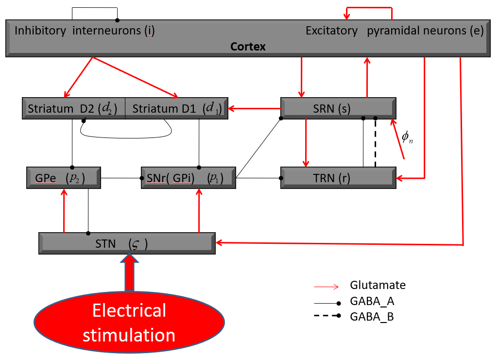 The connection structure diagram of the basal ganglia-thalamocortical model (BGTC) [22, 23].