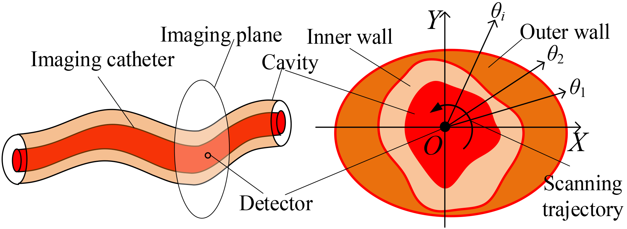 Schematic diagram of acquiring PA signal from inside a tubular object. Left: axial view. Right: transverse view.