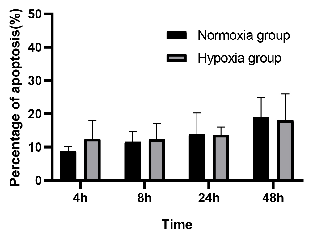 Hydroxyapatite bioceramics showed no obvious effect on apoptosis.