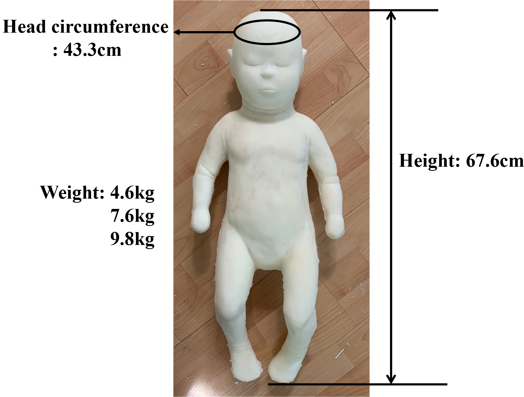 The specification of the developed infant dummy.