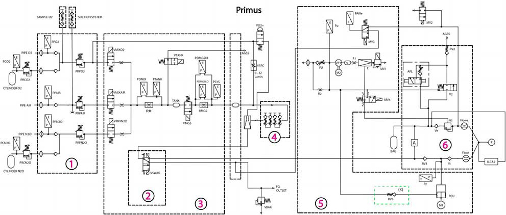 Pathway diagram of the Primus anesthesia machine.
