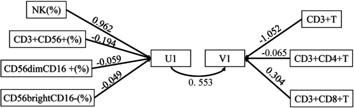 Path map of canonical correlation analysis.