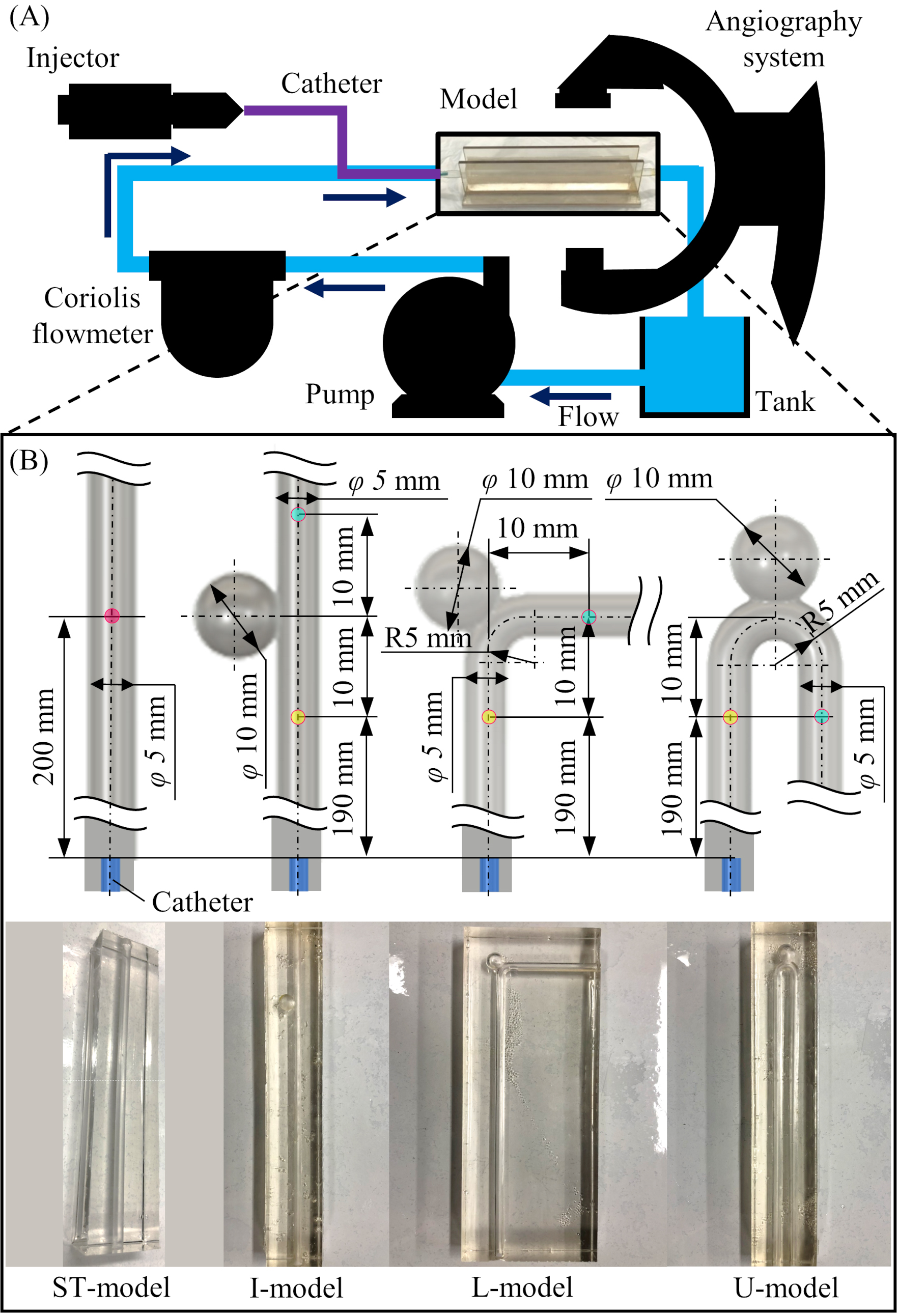 Experimental design and phantom models installed in the circuit. (A) Schematic diagram of the experimental circuit with circulating glycerin solution. (B) Detailed design and pictures of the four types of the phantom model (ST-model, I-model, L-model, and U-model).