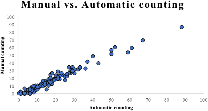 Comparison of results between program automatic counting and manual counting by experimenters.