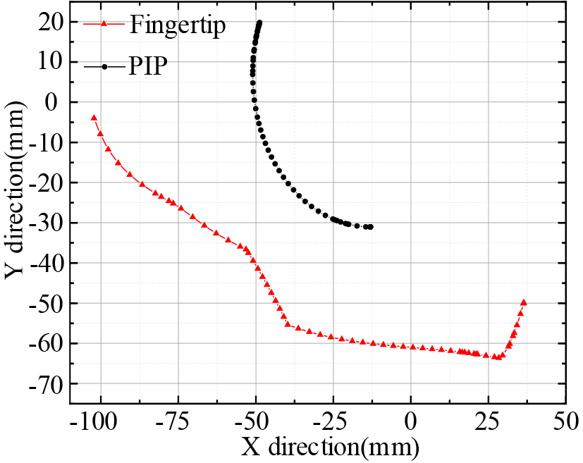 Motion trajectories of PIP and fingertip.